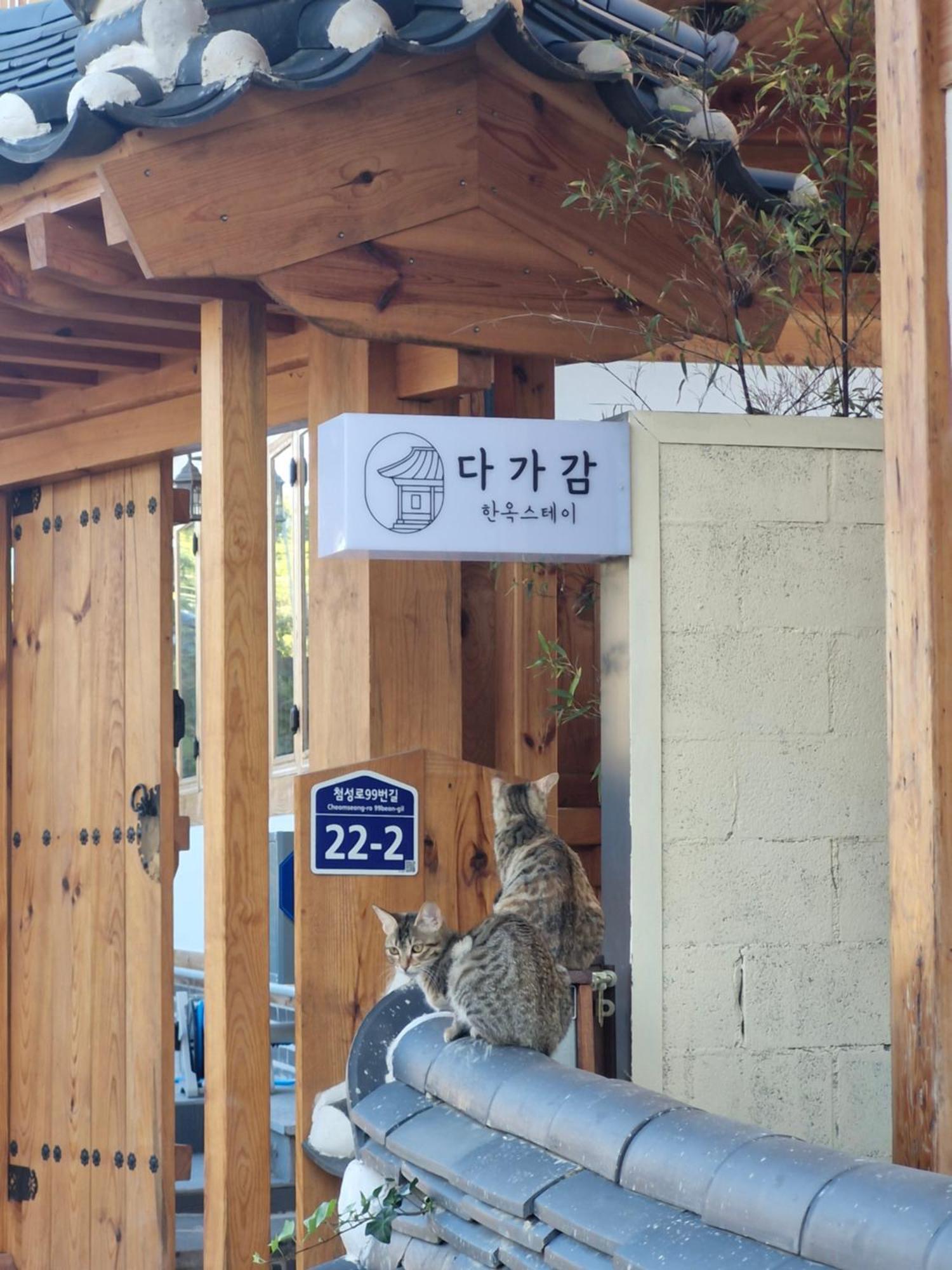 Hanok Stay Da-Ga-Gam Gyeongju Zewnętrze zdjęcie